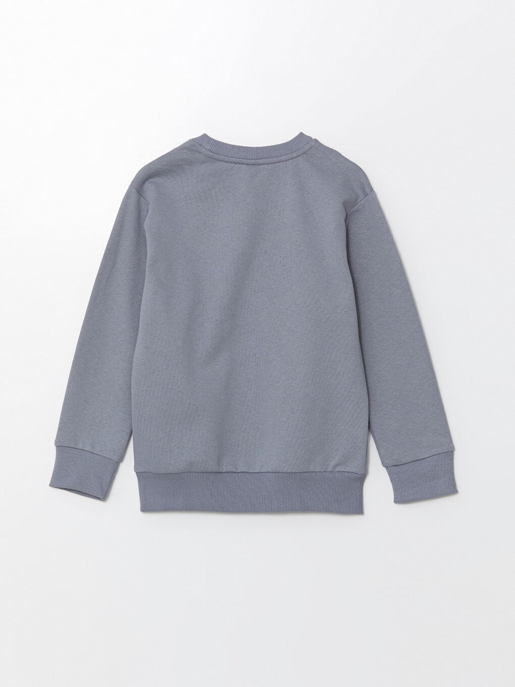 LCW ECO Mat Mavi Bisiklet Yaka Erkek Çocuk Sweatshirt - 2