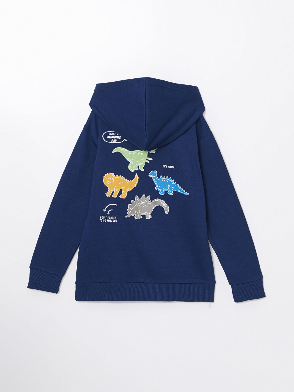 LCW ECO Açık Lacivert Kapüşonlu Erkek Çocuk Sweatshirt - 2