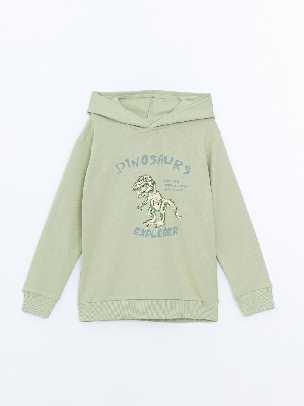 LCW ECO Yeşil Kapüşonlu Erkek Çocuk Sweatshirt