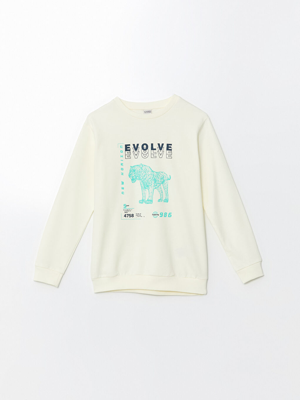 LCW Kids Ekru Bisiklet Yaka Erkek Çocuk Sweatshirt - 2