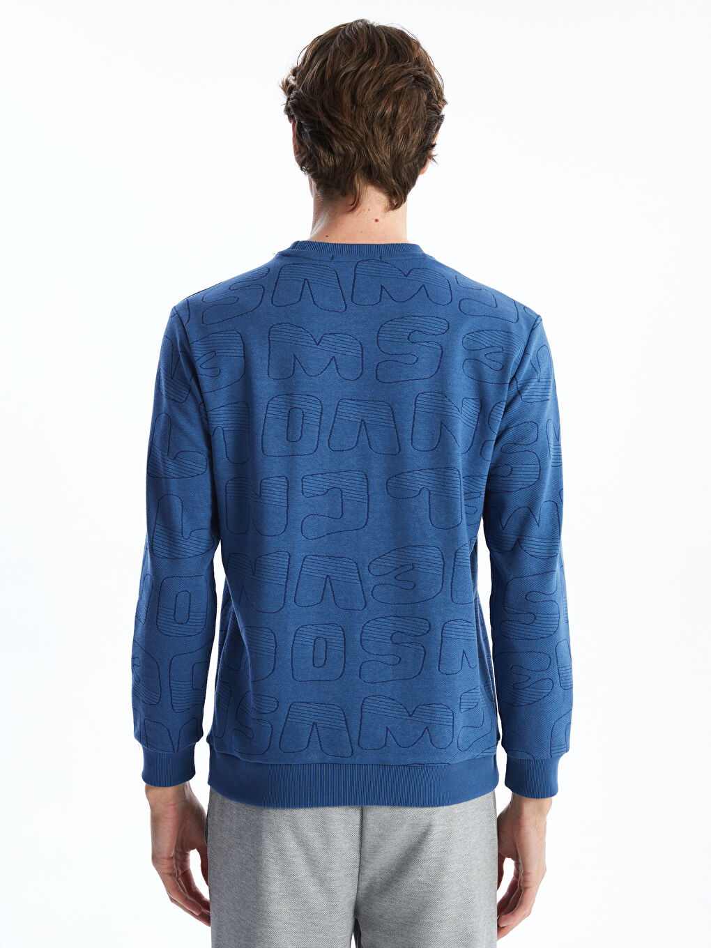 Crew Neck Long Sleeve Printed Men's Sweatshirt-3