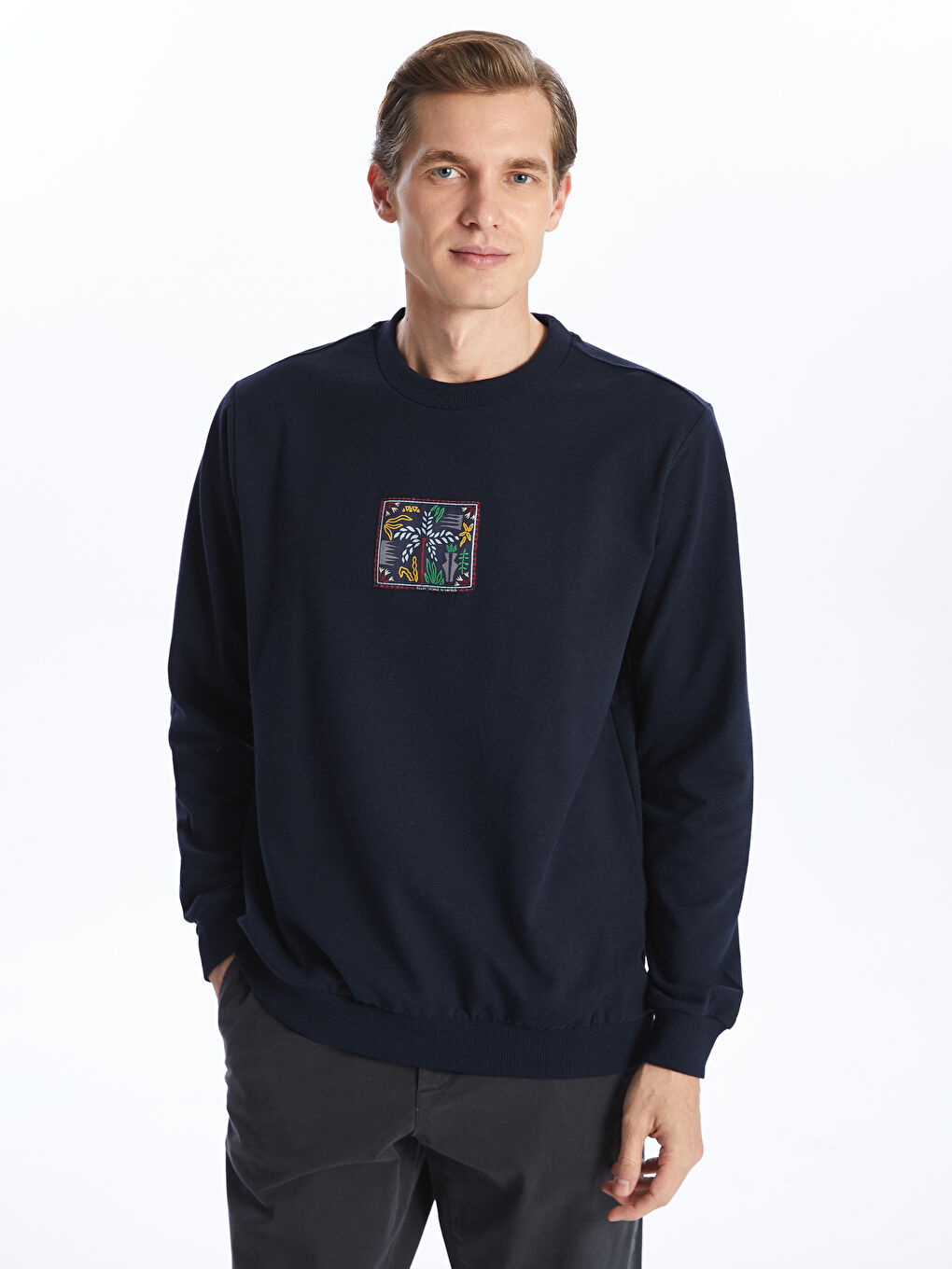 LCW ECO Lacivert Bisiklet Yaka Uzun Kollu Baskılı Erkek Sweatshirt