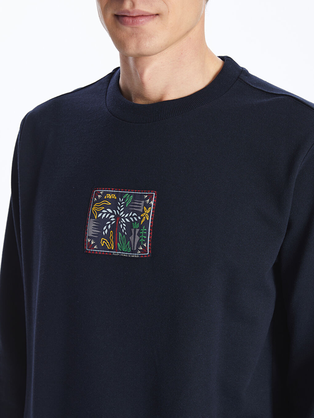 LCW ECO Lacivert Bisiklet Yaka Uzun Kollu Baskılı Erkek Sweatshirt - 2