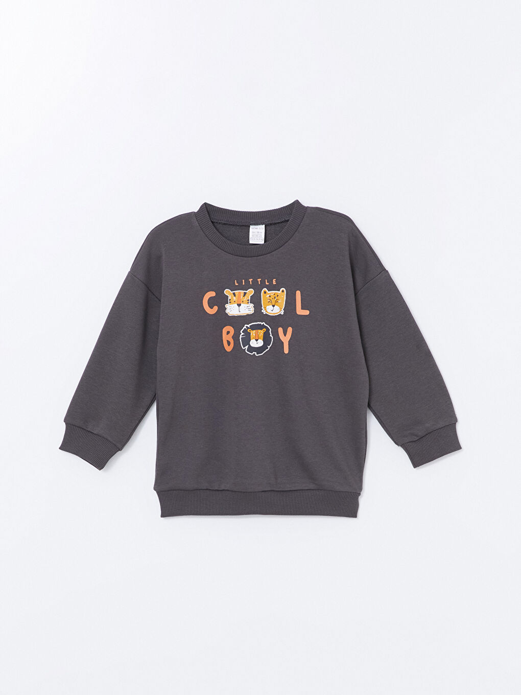 LCW ECO Antrasit Bisiklet Yaka Baskılı Erkek Bebek Sweatshirt