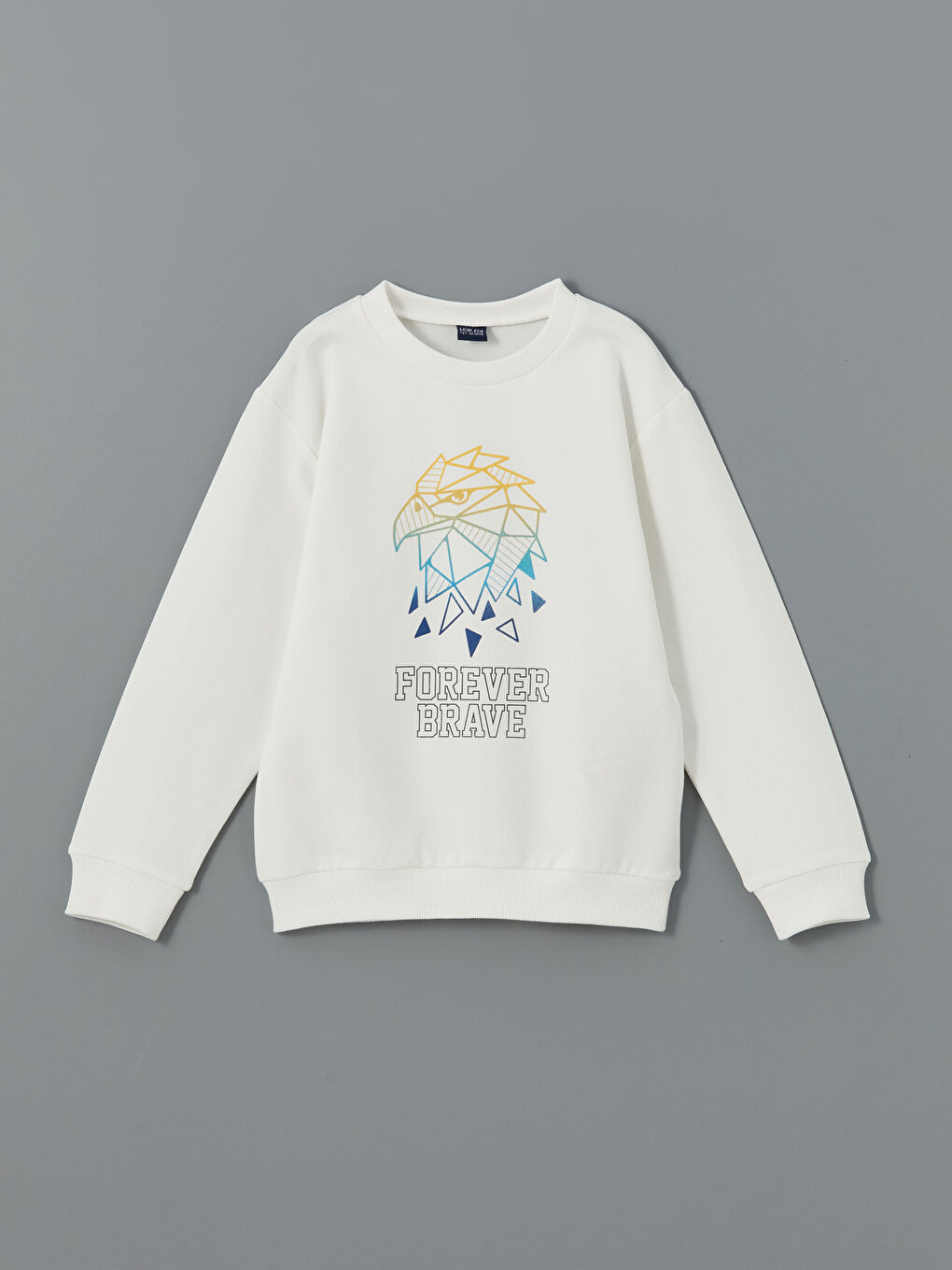 LCW ECO Beyaz Bisiklet Yaka Baskılı Erkek Çocuk Sweatshirt