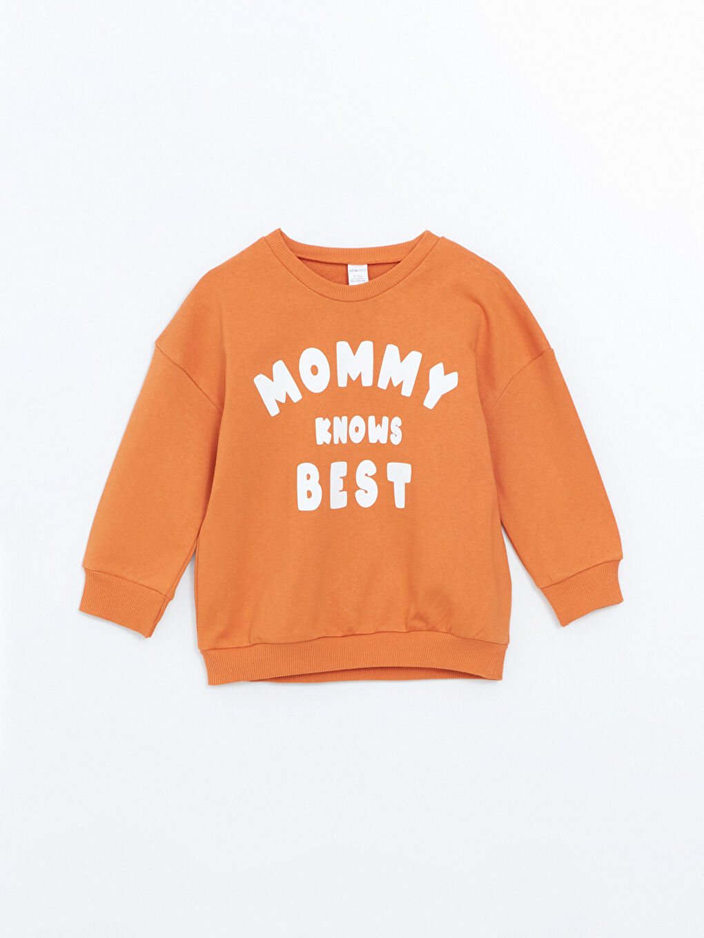 LCW ECO Zümrüt Yeşili Bisiklet Yaka Uzun Kollu Baskılı Erkek Bebek Sweatshirt 2'li - 4