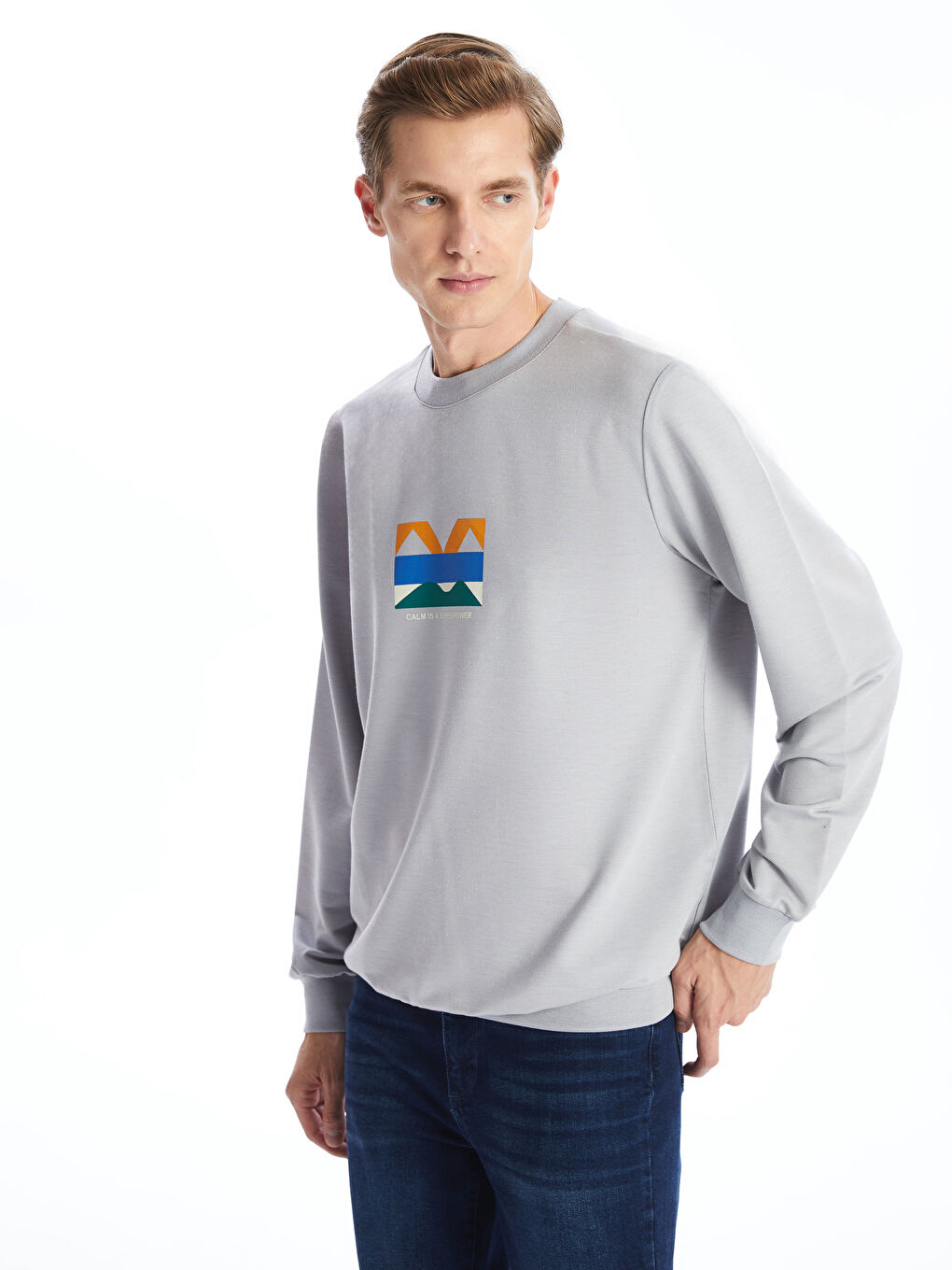 LCW ECO Gri Bisiklet Yaka Uzun Kollu Baskılı Erkek Sweatshirt