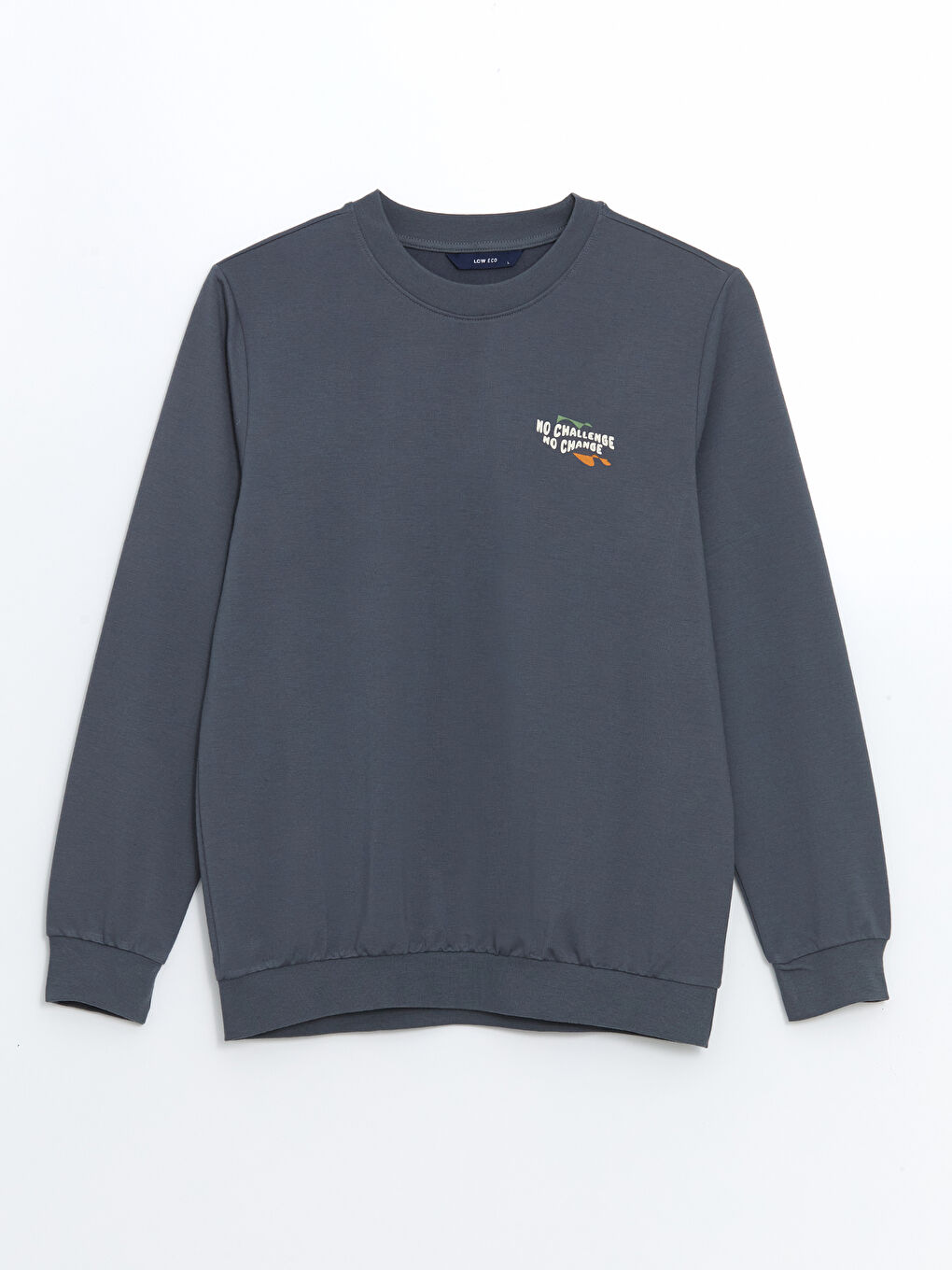 LCW ECO Antrasit Bisiklet Yaka Uzun Kollu Baskılı Erkek Sweatshirt - 4