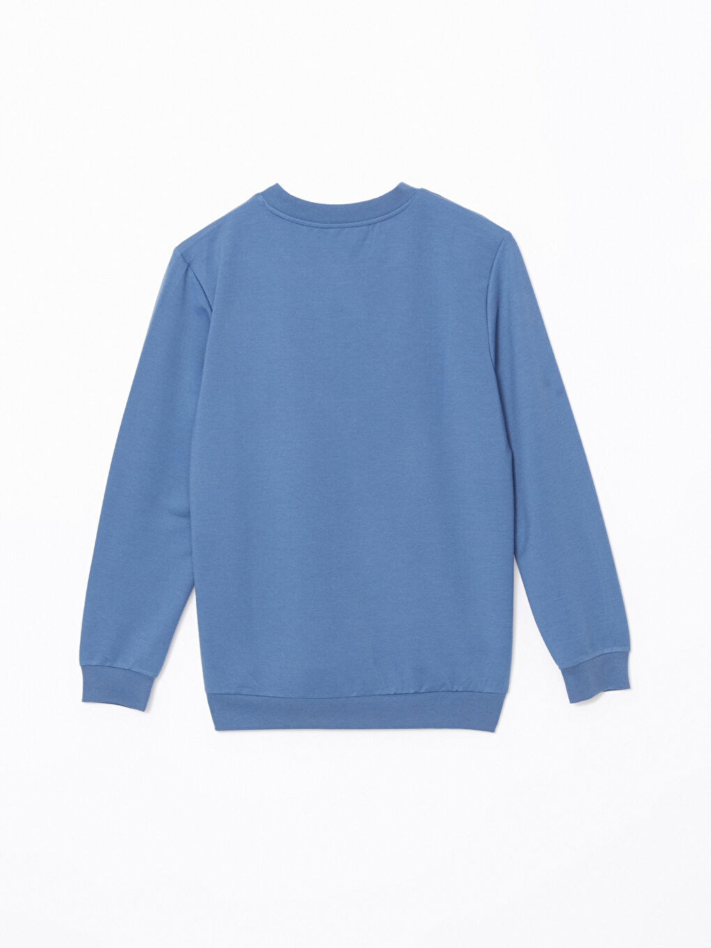 LCW ECO Mavi Bisiklet Yaka Uzun Kollu Nakışlı Erkek Sweatshirt - 5