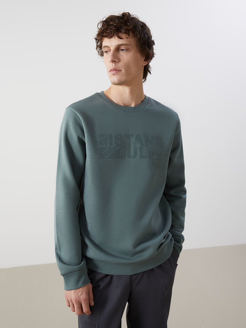 Crew Neck Long Sleeve Printed Thick Men's Sweatshirt -W4L992Z8-Z5M