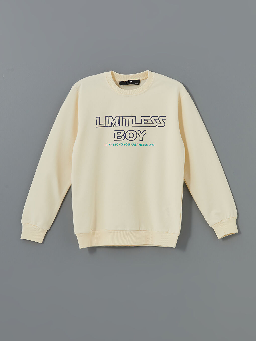 LCW Kids Ekru Bisiklet Yaka Baskılı Erkek Çocuk Sweatshirt