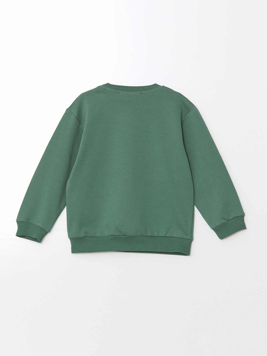 LCW baby Haki Bisiklet Yaka Erkek Bebek Sweatshirt 2'li - 2