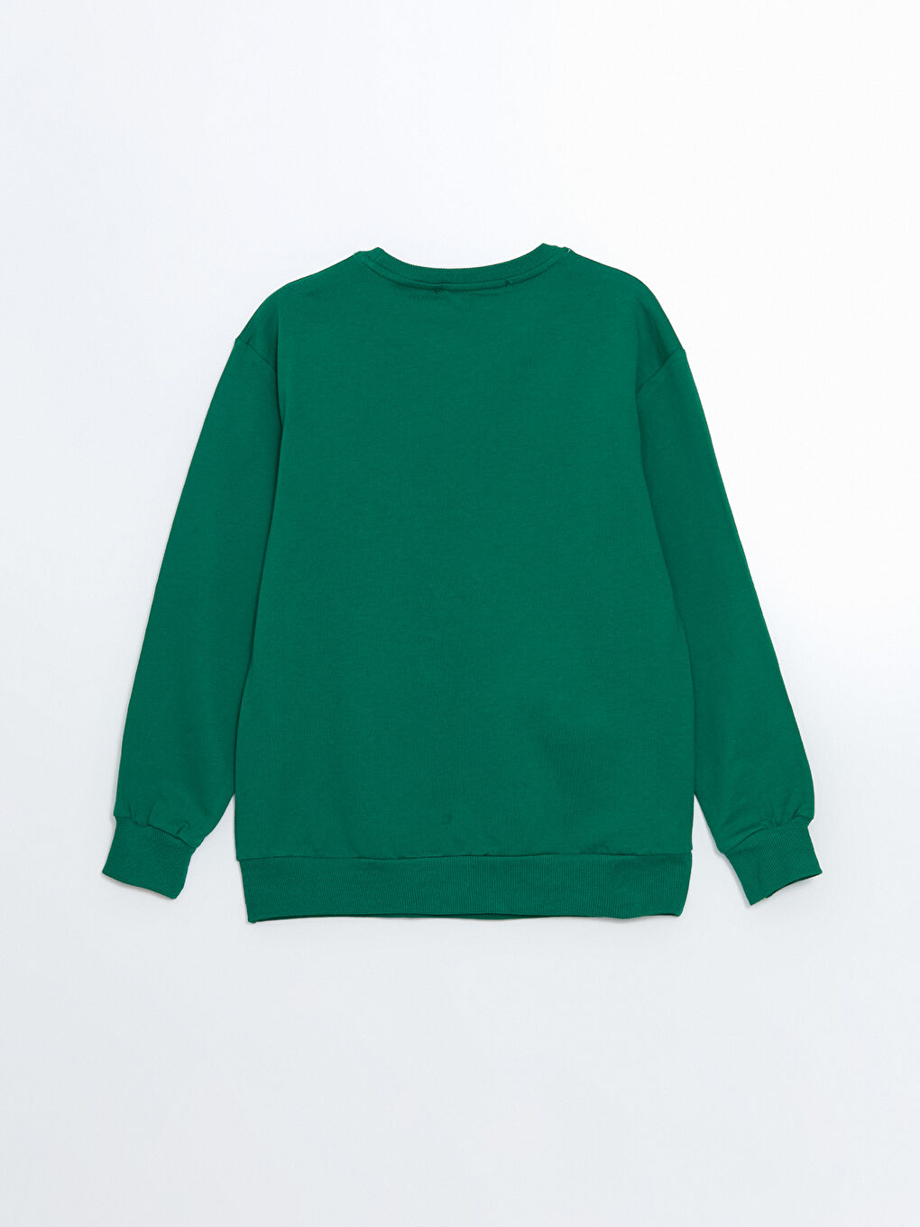 LCW Kids Yeşil Bisiklet Yaka Baskılı Erkek Çocuk Sweatshirt - 2