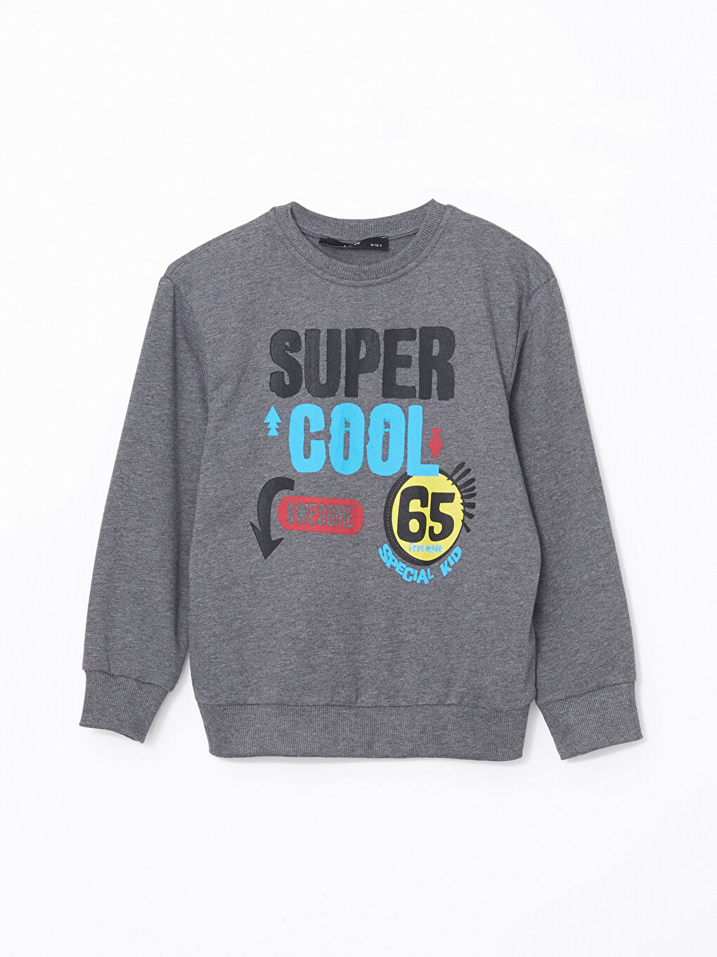 LCW Kids Antrasit Bisiklet Yaka Baskılı Erkek Çocuk Sweatshirt