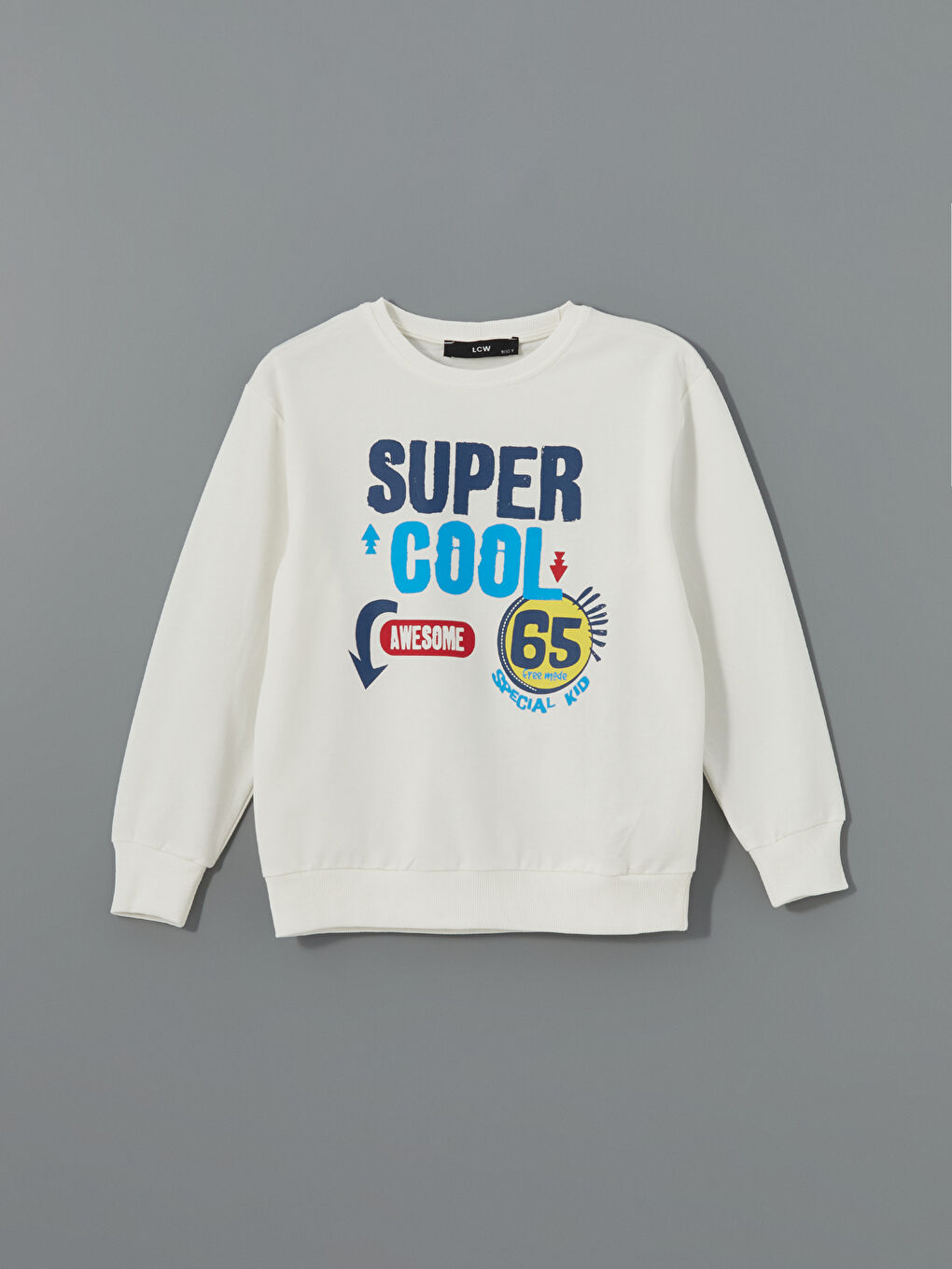 LCW Kids Ekru Bisiklet Yaka Baskılı Erkek Çocuk Sweatshirt