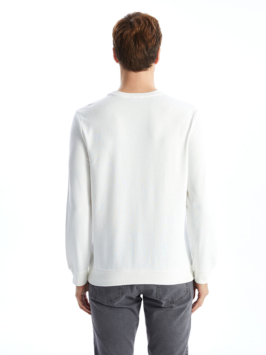 Crew Neck Long Sleeve Printed Men's Sweatshirt-7