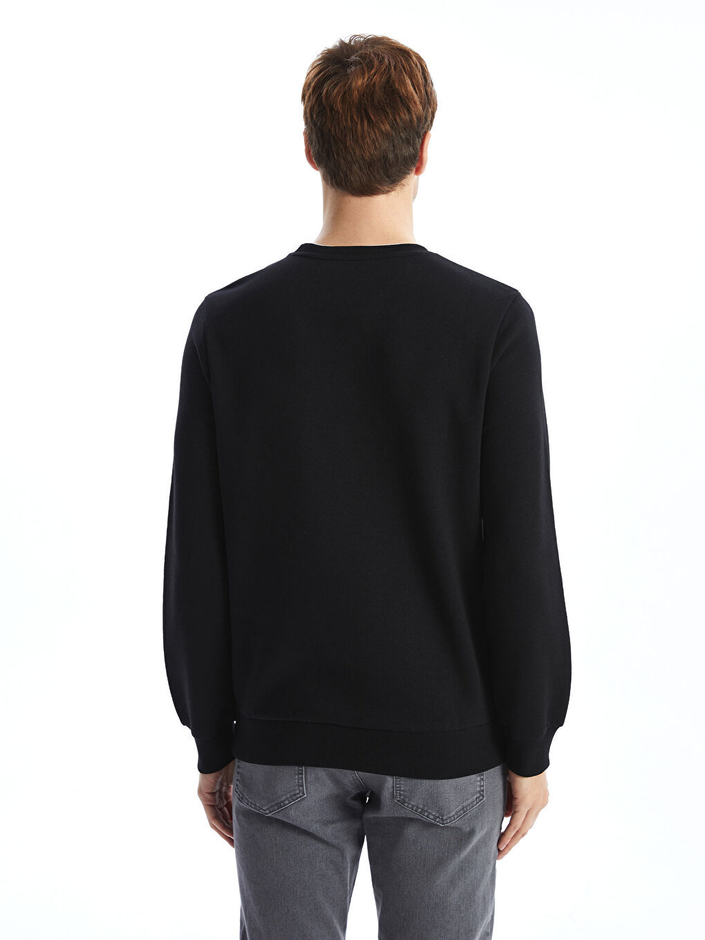 Crew Neck Printed Men's Thick Sweatshirt-3