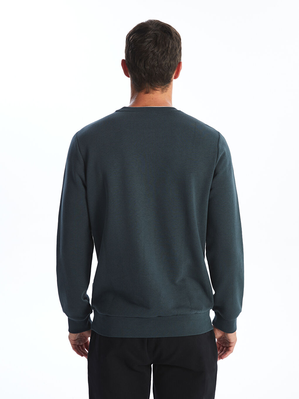 Crew Neck Printed Men's Thick Sweatshirt-3