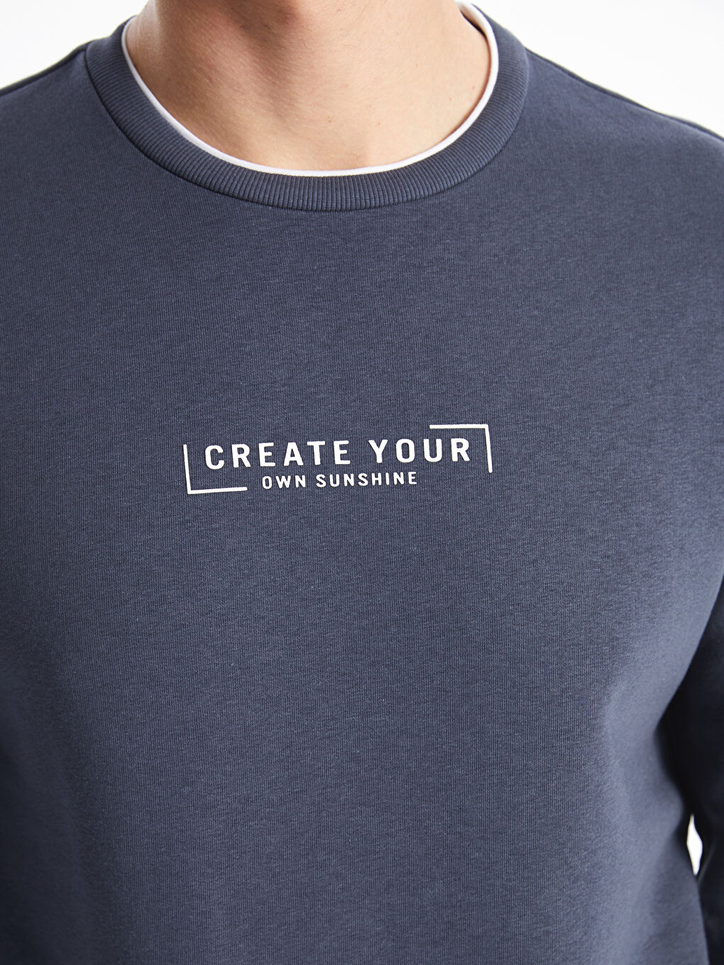 Crew Neck Printed Men's Thick Sweatshirt-2