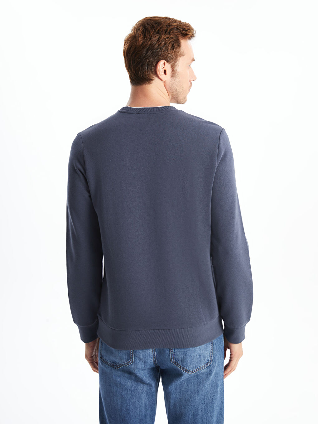 Crew Neck Printed Men's Thick Sweatshirt-3