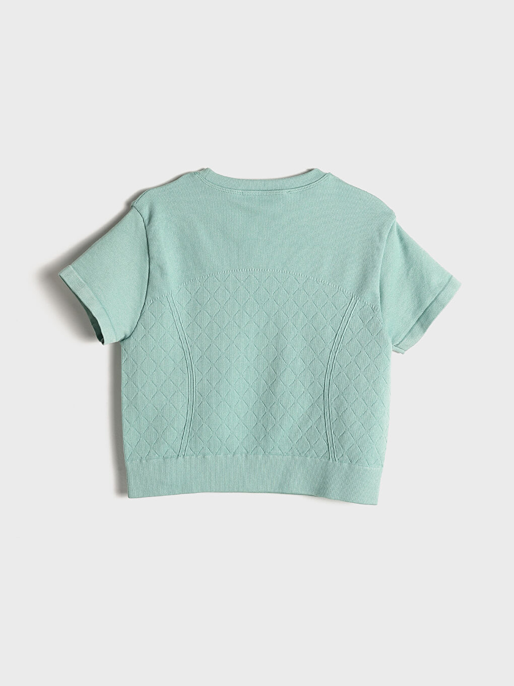 Crew Neck Plain Short Sleeve Women's Crop T-Shirt -W4LY43Z8-GAQ