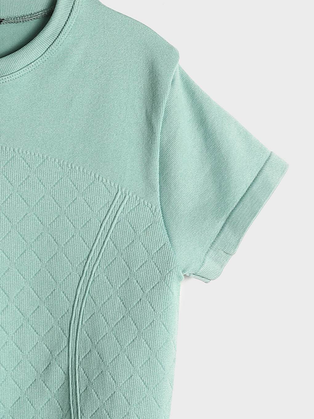 Crew Neck Plain Short Sleeve Women's Crop T-Shirt -W4LY43Z8-GAQ