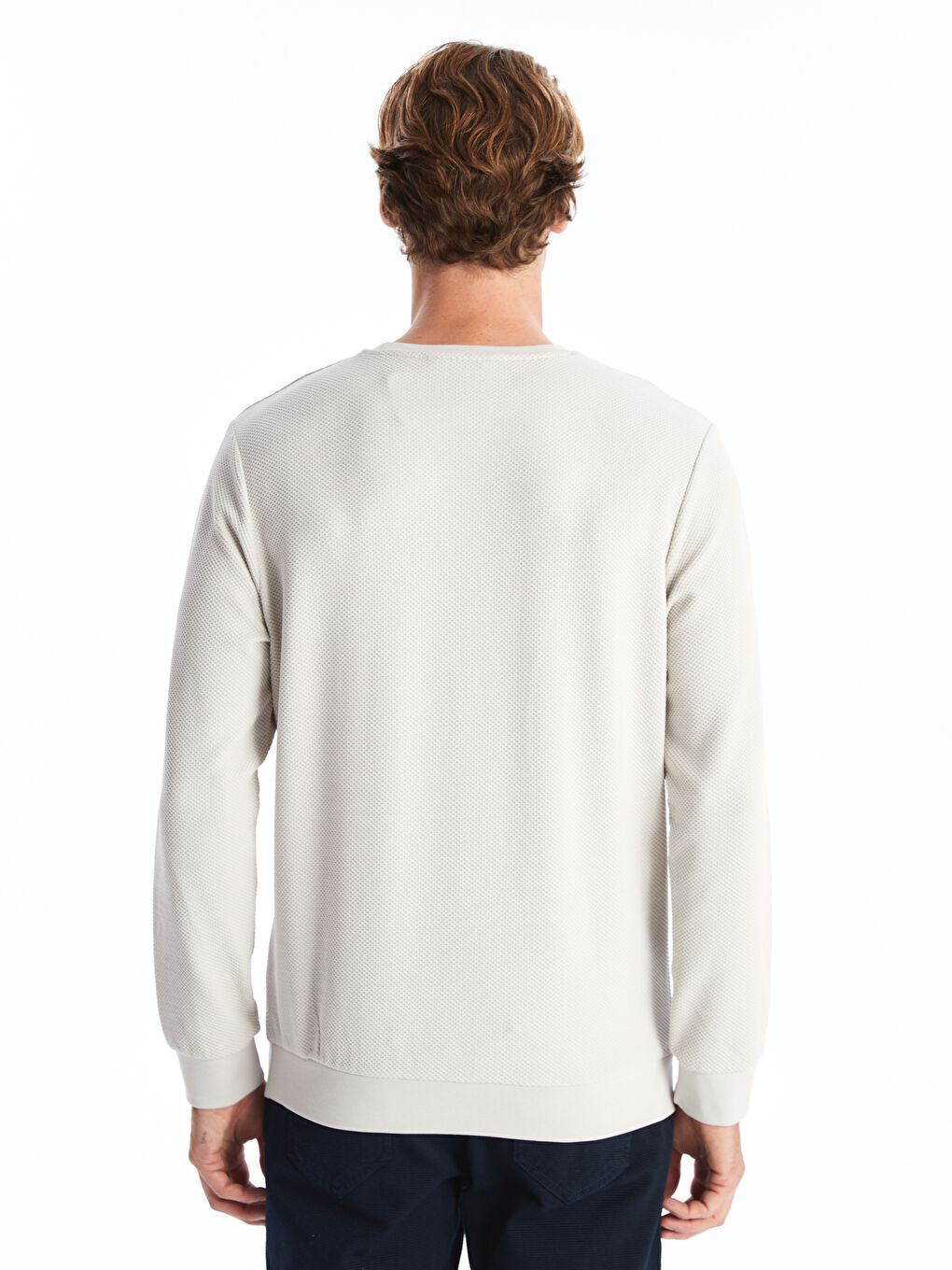 Crew Neck Long Sleeve Men's Textured Sweatshirt-7