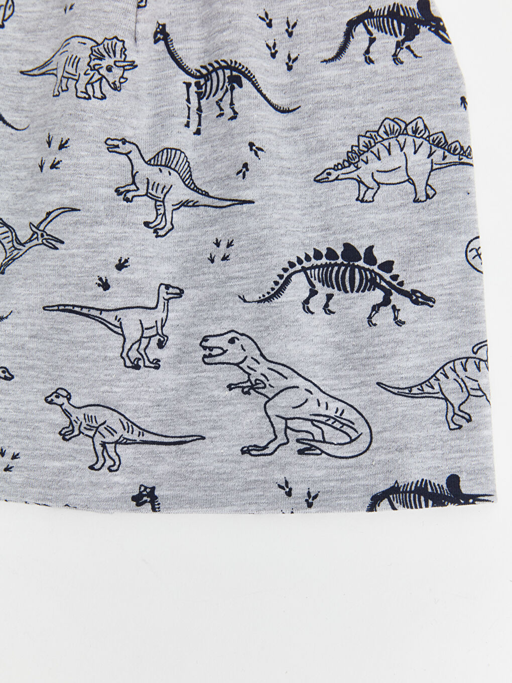 Printed Boys' Beanie 2 Pack-1
