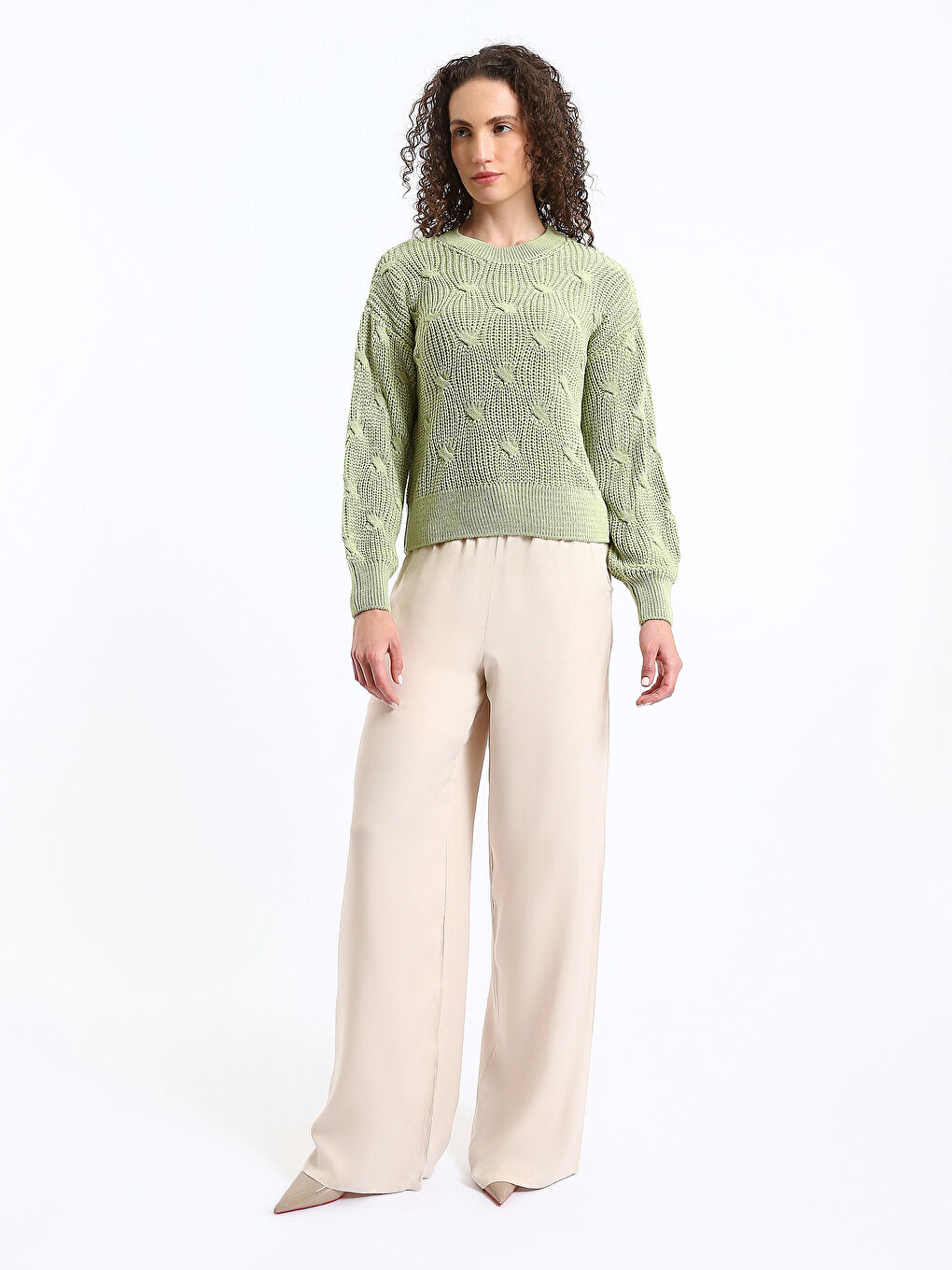 Crew Neck Self Patterned Long Sleeve Women's Knitwear Sweater-1