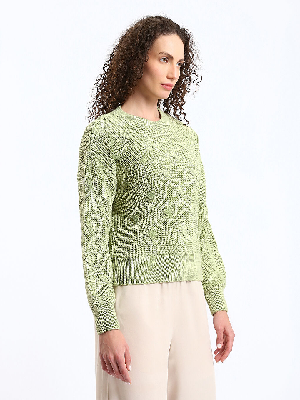 Crew Neck Self Patterned Long Sleeve Women's Knitwear Sweater-3