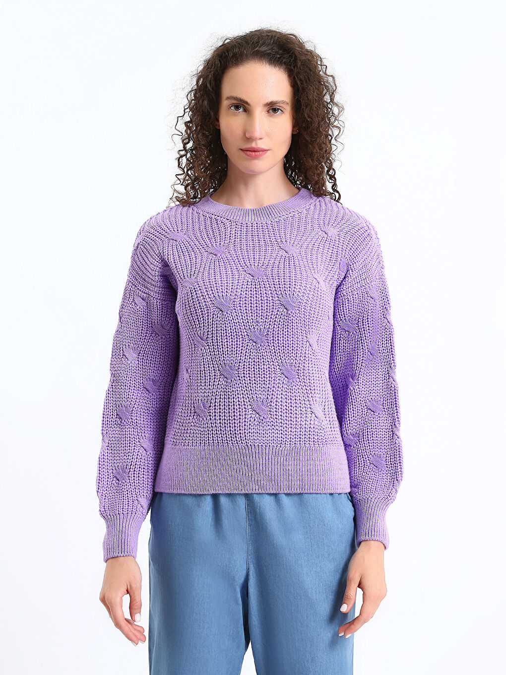 Crew Neck Self Patterned Long Sleeve Women's Knitwear Sweater