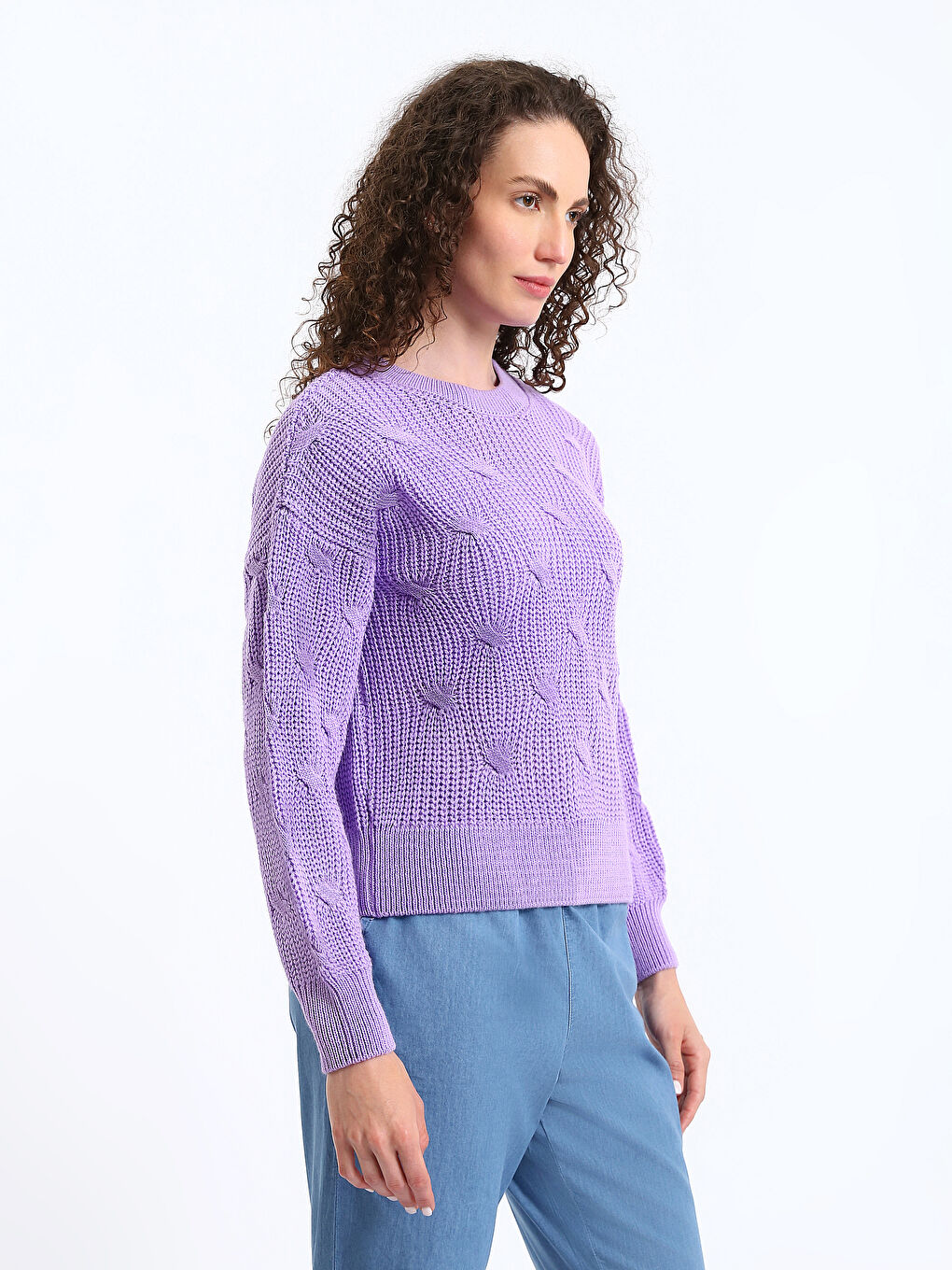 Crew Neck Self Patterned Long Sleeve Women's Knitwear Sweater-4