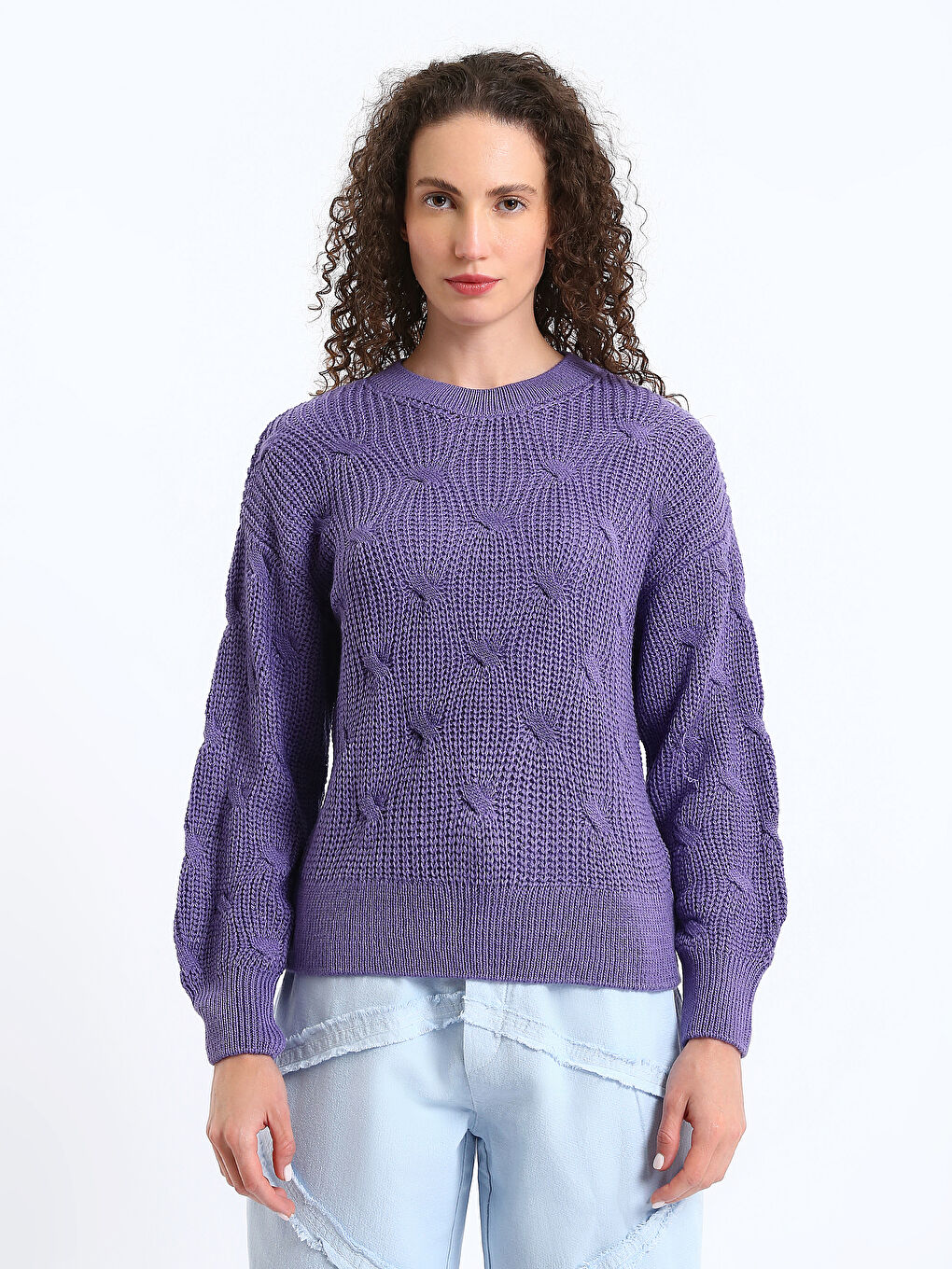 Crew Neck Self Patterned Long Sleeve Women's Knitwear Sweater