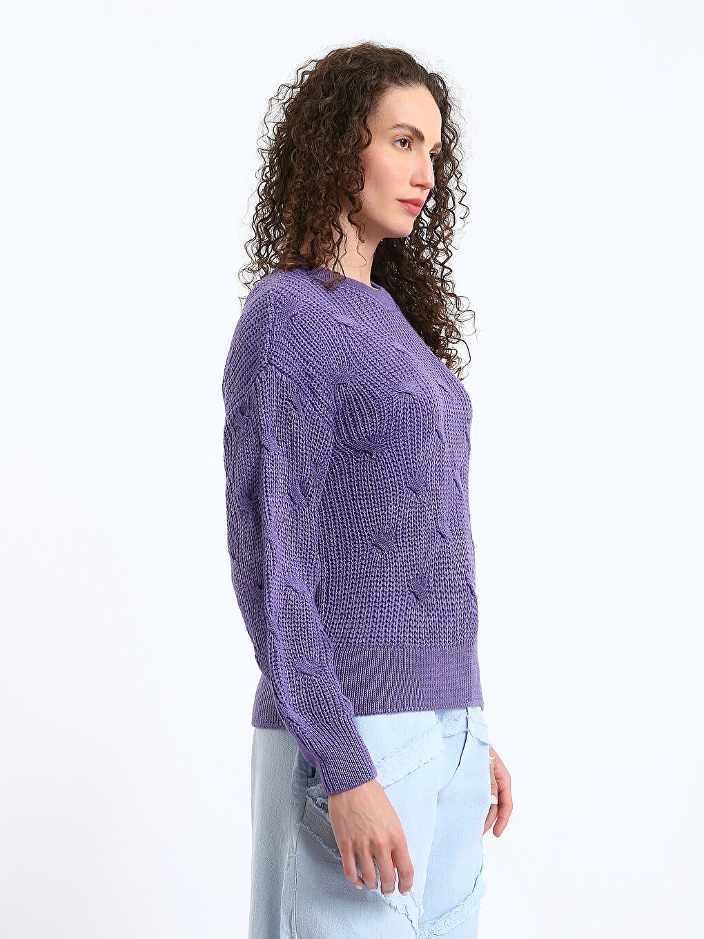 Crew Neck Self Patterned Long Sleeve Women's Knitwear Sweater-4