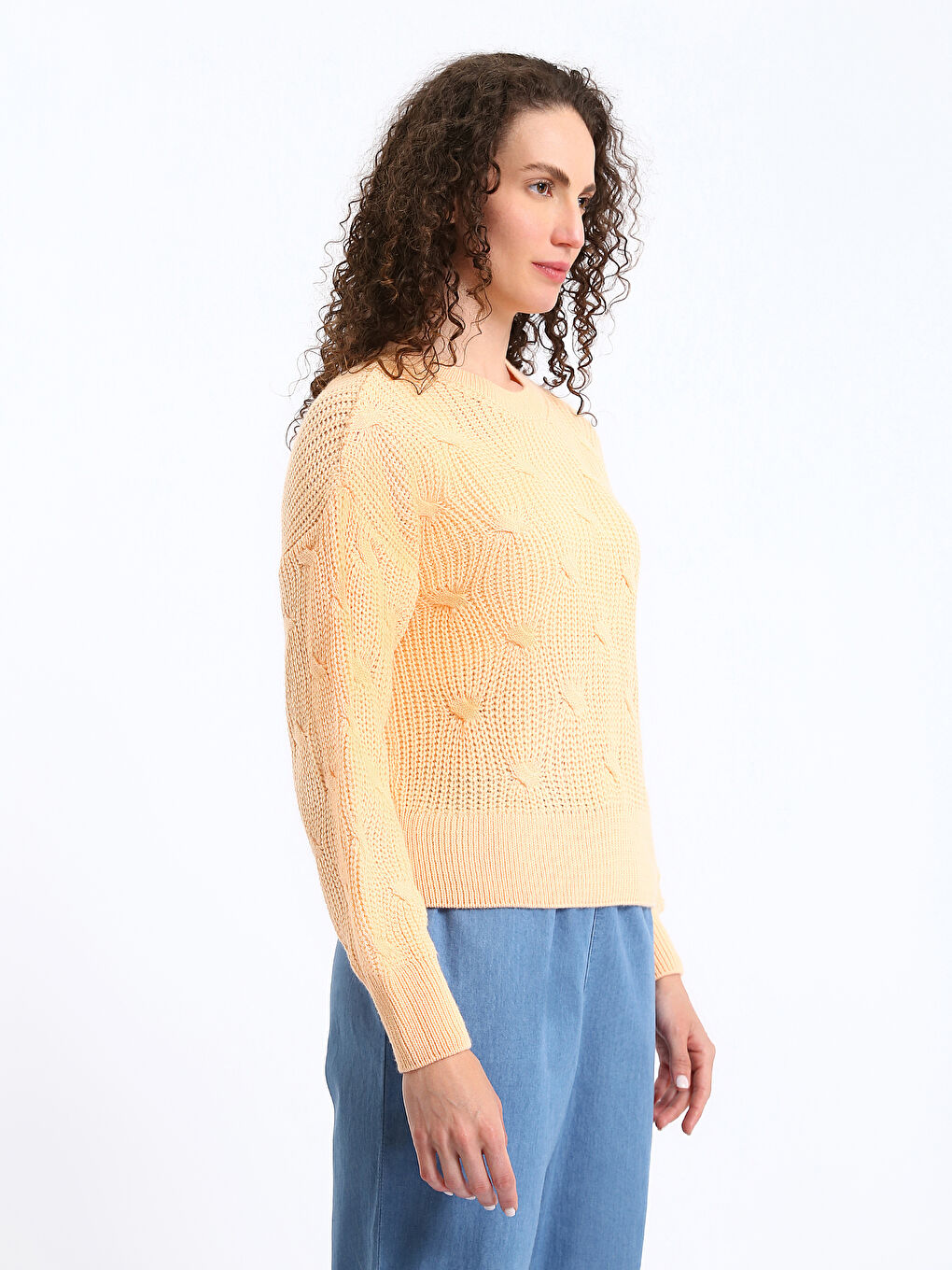 Crew Neck Self Patterned Long Sleeve Women's Knitwear Sweater-3