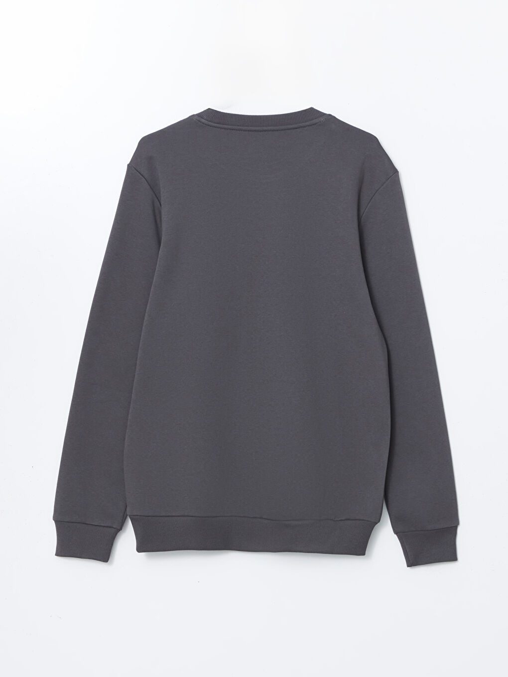 Crew Neck Long Sleeve Thick Men's Sweatshirt -W4M958Z8-HJV