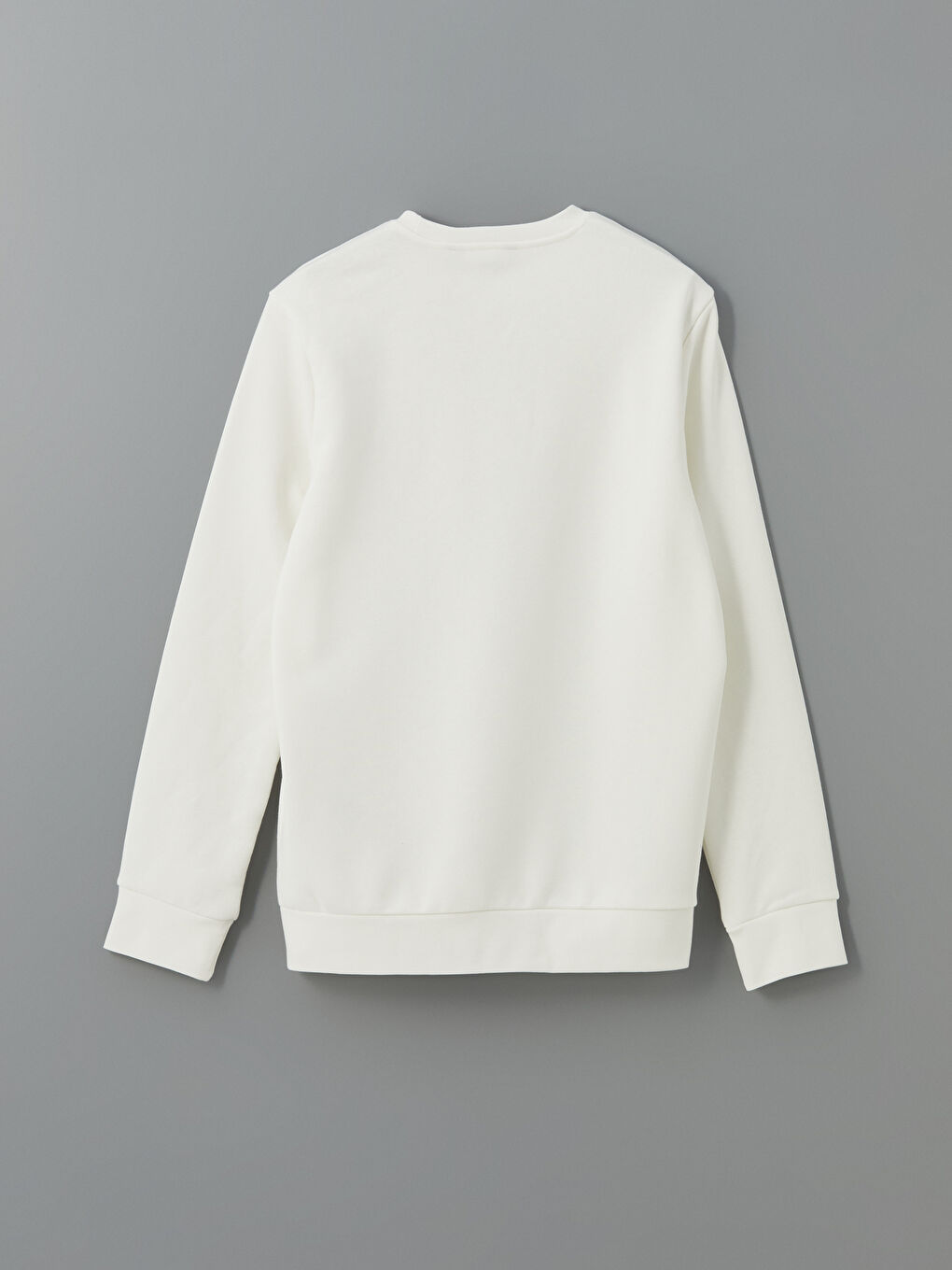 Crew Neck Printed Men's Thick Sweatshirt -W4MA52Z8-R9J