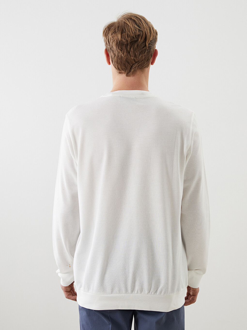 Crew Neck Long Sleeve Printed Men's Sweatshirt-3
