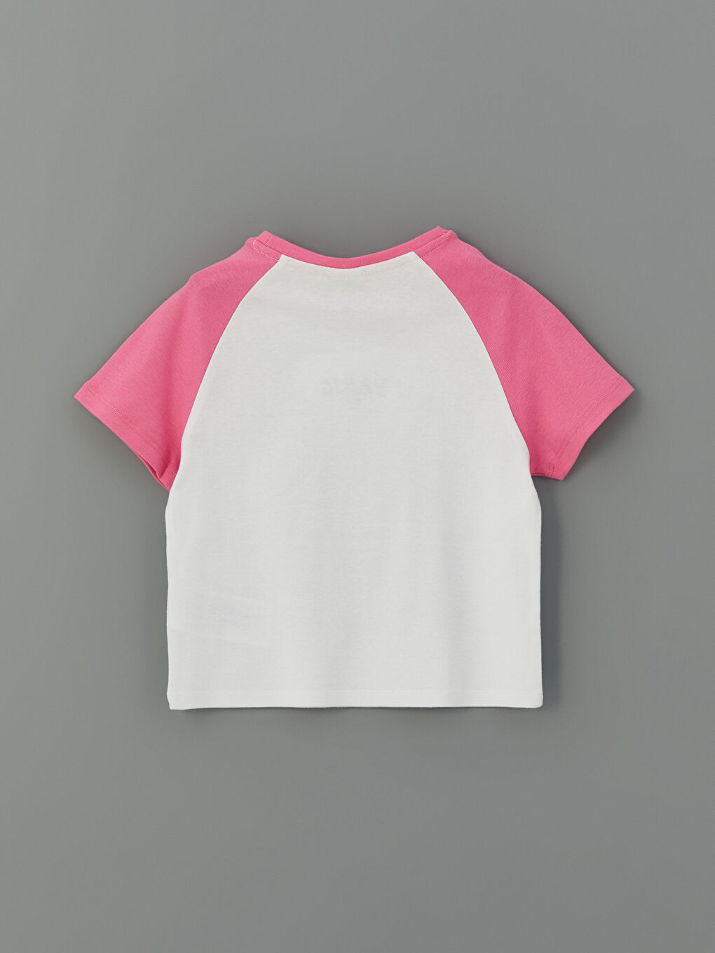 Crew Neck Paris Embroidered Girls' Crop T-Shirt -S51106Z4-GEV