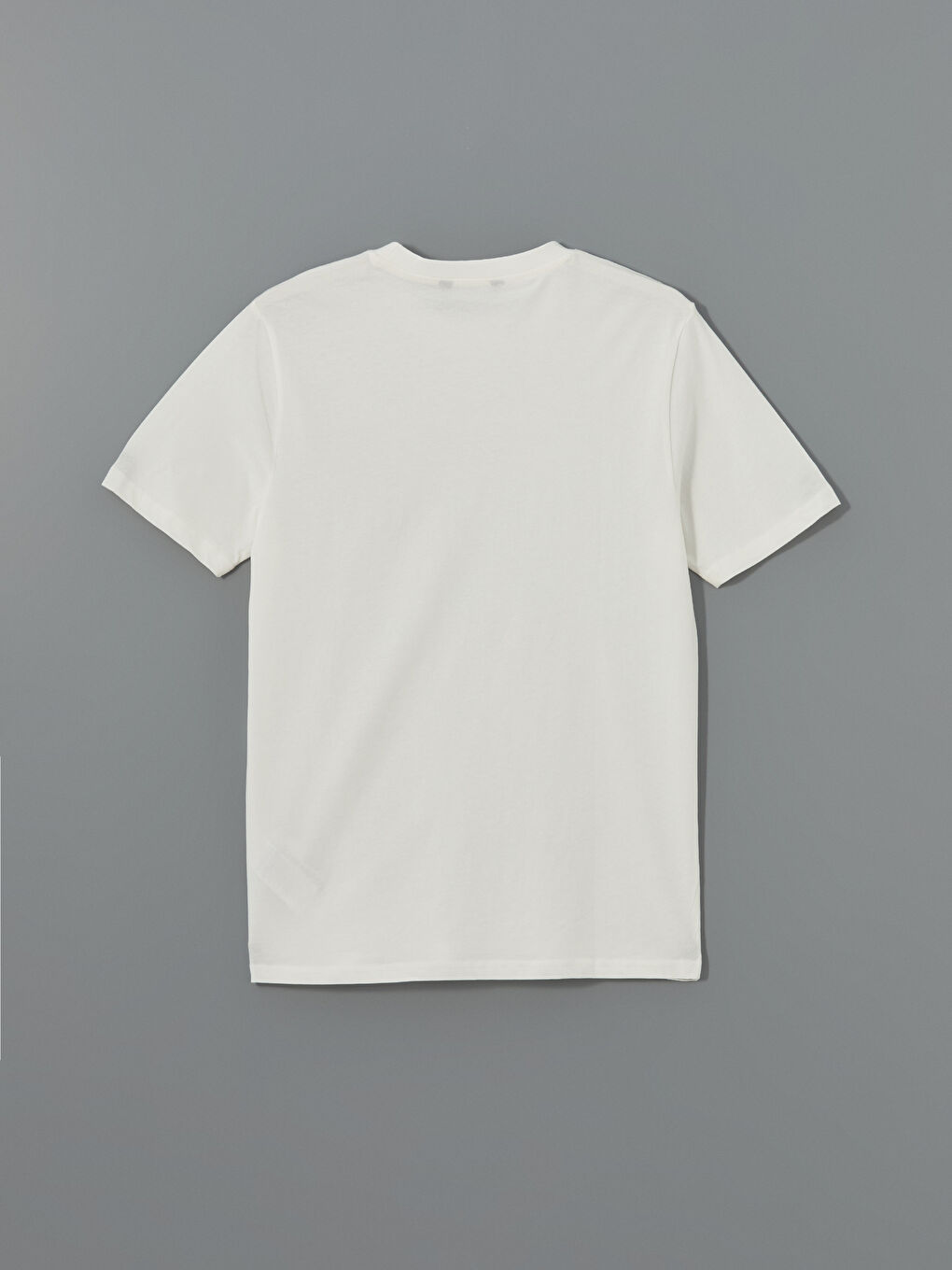 Crew Neck Printed Jersey Men's T-Shirt -S53435Z8-R9J