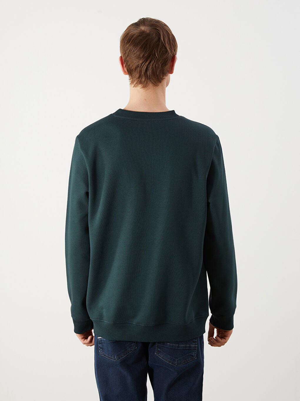 Crew Neck Printed Men's Thick Sweatshirt-3