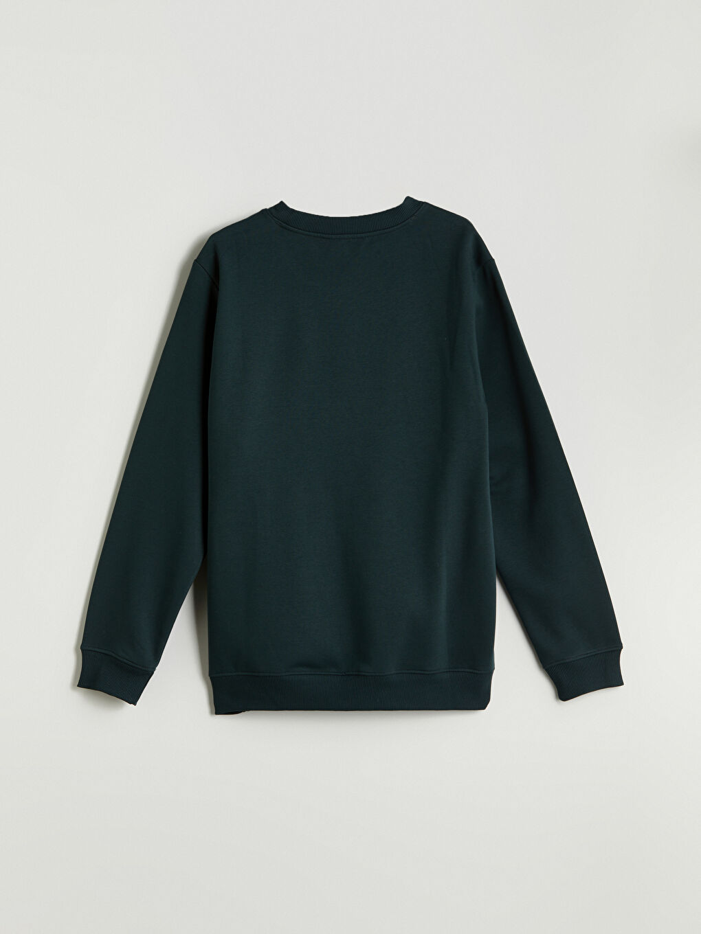 Crew Neck Printed Men's Thick Sweatshirt-5