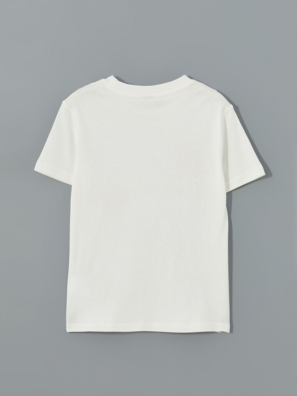 Crew Neck Printed Jersey Boys' T-Shirt -S53952Z4-R9J
