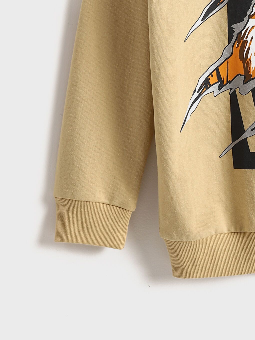 Crew Neck Tiger Printed Boys' Sweatshirt -S54306Z4-FJC