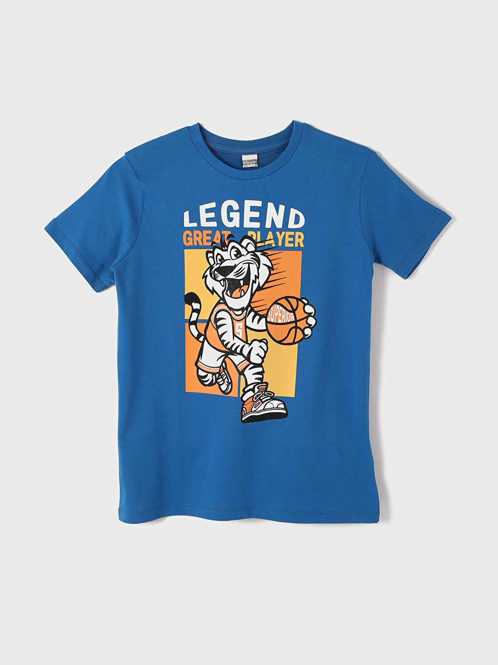 Crew Neck Short Sleeve Printed Boys' T-Shirt
