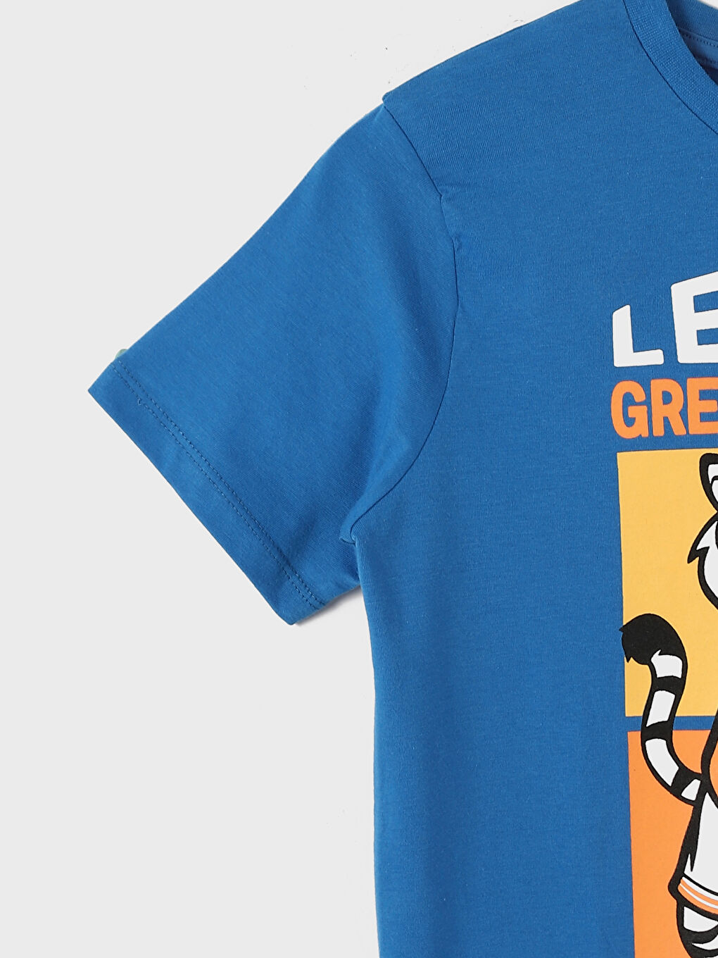 Crew Neck Short Sleeve Printed Boys' T-Shirt-2