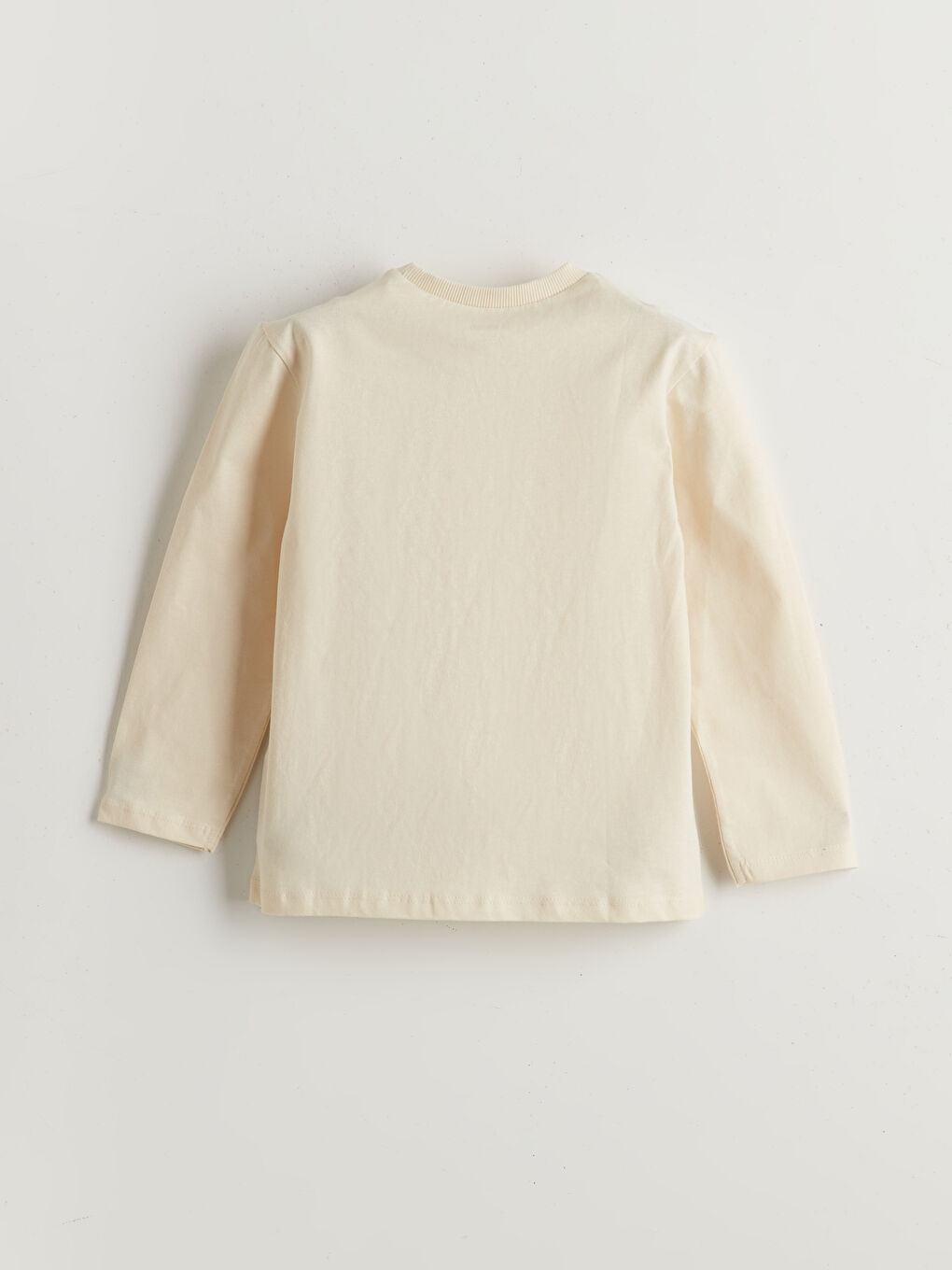 Crew Neck Printed Boys' T-Shirt -S54407Z1-QVK