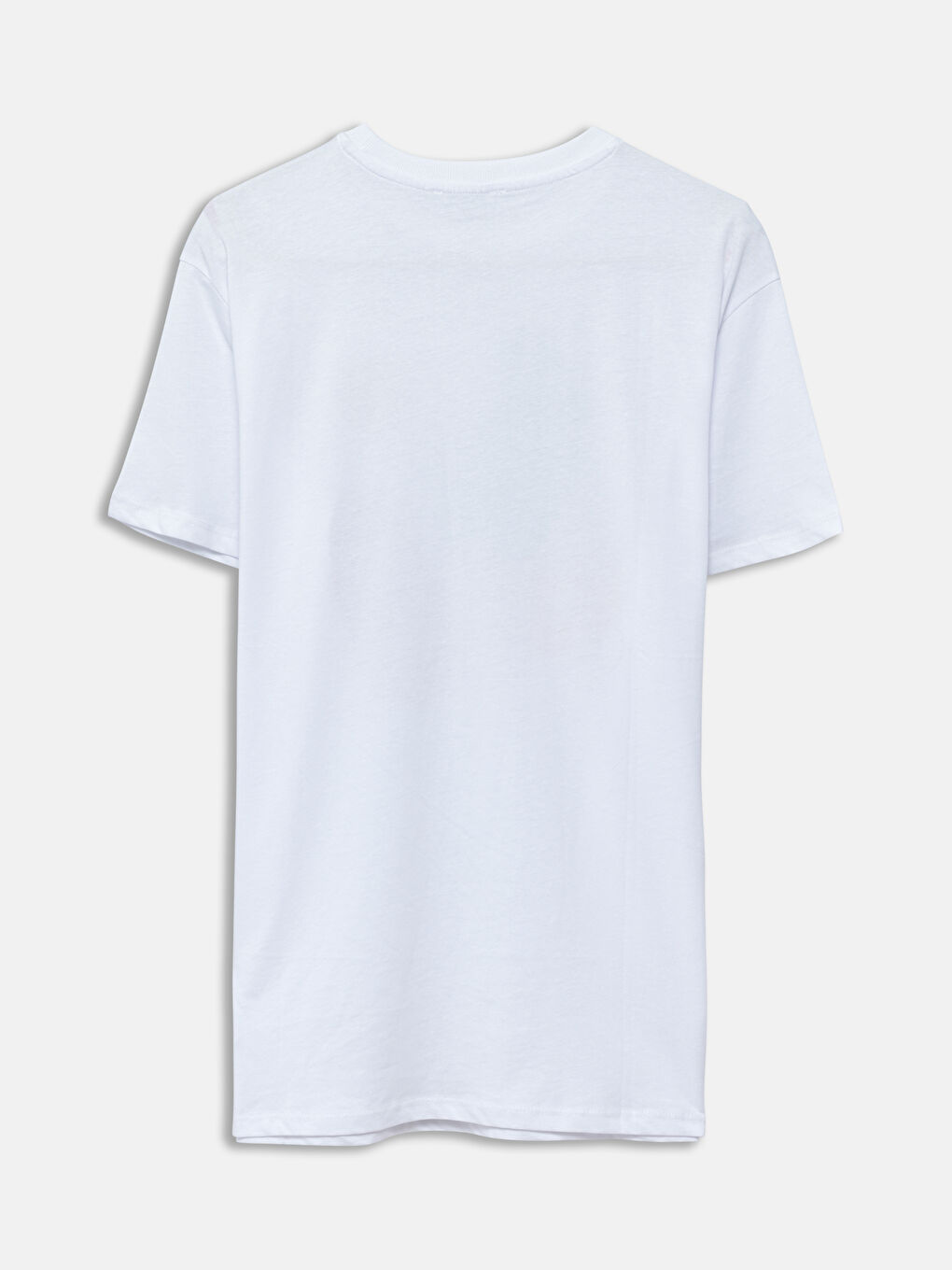 LCW Modest Rundhalsausschnitt Bedrucktes T-Shirt für Damen -S55175Z8-Q6K