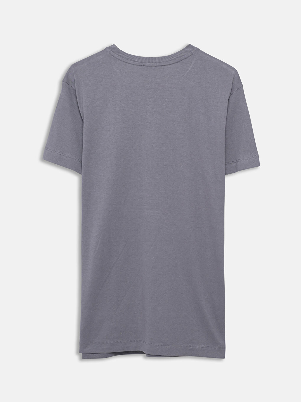 LCW Modest Crew Neck Printed Women's T-Shirt -S55176Z8-HMC