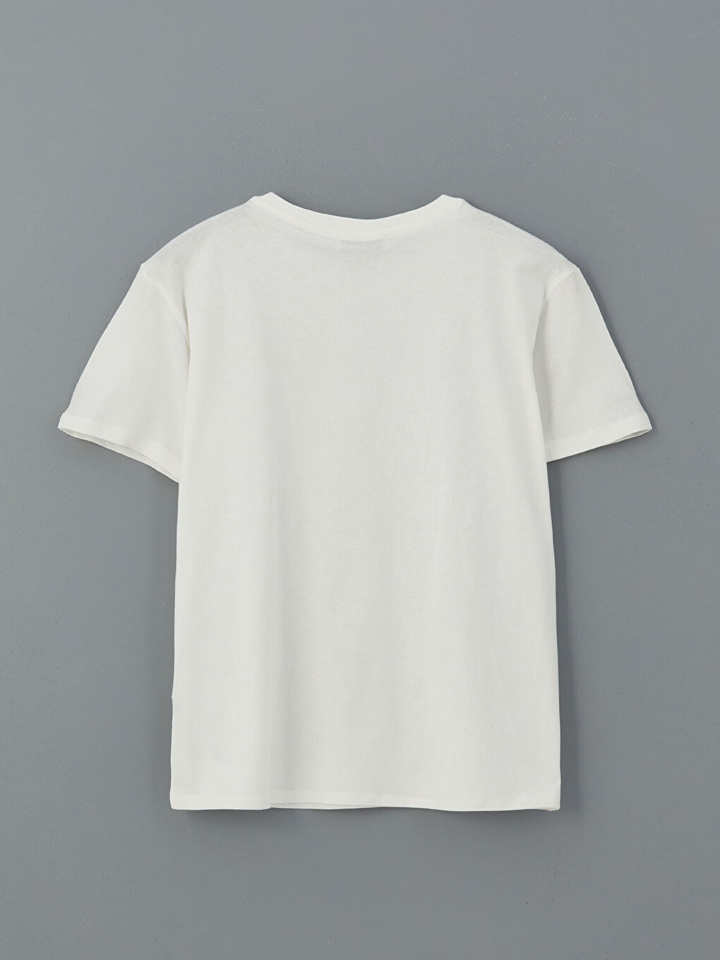 LCW Grace Crew Neck Patterned Women's T-Shirt -S56011Z8-FDU